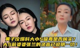 大s吸毒的最新爆料,最新爆料揭露惊人内幕